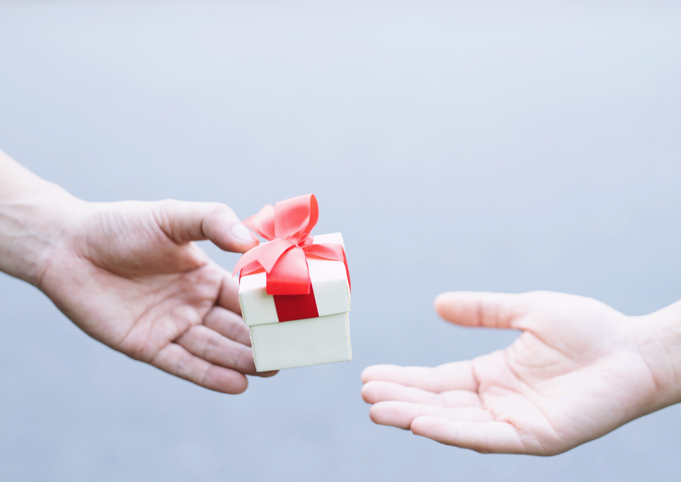 Te Manawa ki te Mahi – Corporate Giving (CSR)