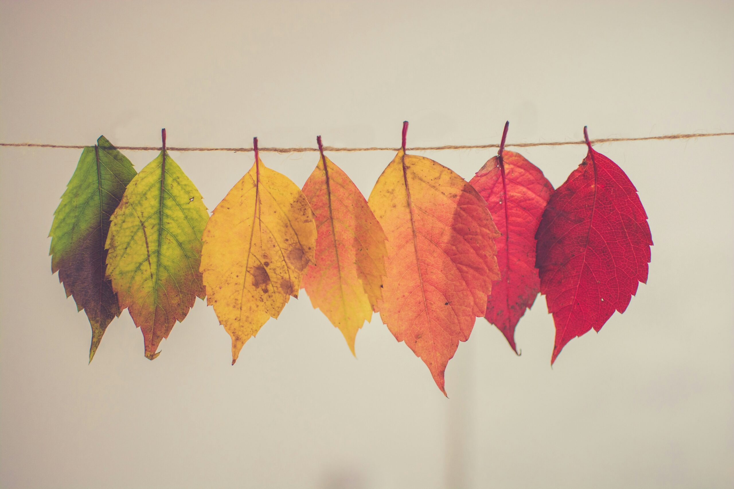 Leading through change and uncertainty
